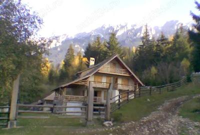 Casă cu 6 camere în Plaiul Foii - 10