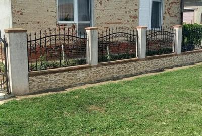 Casă cu 2 camere cu Teren 10000 Mp în Sanislău - 6