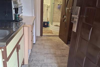 Casă cu 1 camere cu Teren 100 Mp în Muncitoresc - 9