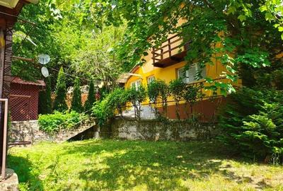 Cabana ta de vis în inima naturii  Padurea Neagra - Bihor - 4