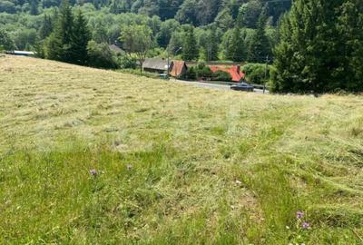 Teren de 9975 mp, în Predeal - 4