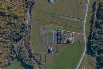 Teren Construcții intravilan de 2100 mp, în Plaiul Foii - 6