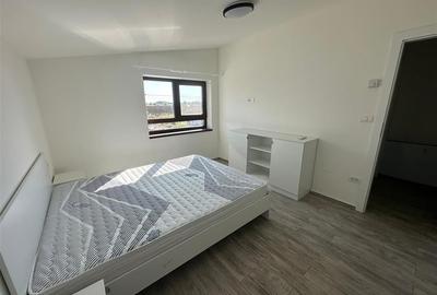 Casa NOUA Sanandrei la prima inchiriere, Eco,  Moderna, 6 minute de Selgros - 18