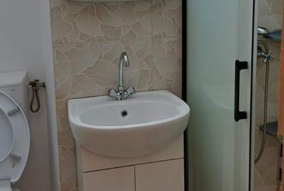 Apartament cu 2 camere, mobilat în Podu Roș - 5