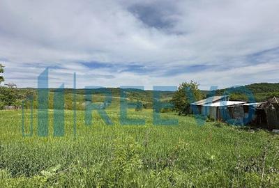 Teren de vanzare, Sat Valea Mare, Com. Ro?iori, Bacau - 7