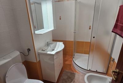 Apartament cu 3 camere decomandat, mobilat în Nord - 6