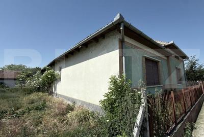Casă cu 3 camere cu Teren 4000 Mp în Vetiș - 2