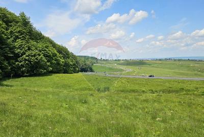 Teren agricol extravilan de 7000 mp, în Ilișești - 30