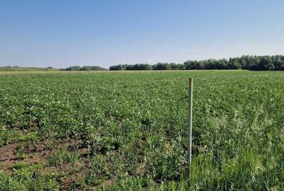 Spațiu comercial, în Rădăuți - 2