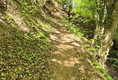 Teren Construcții intravilan de 1577 mp, în Schei - 5