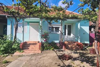 Casă cu 6 camere cu Teren 4200 Mp în Craiva - 1