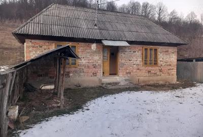 Casă în Livezi - 4