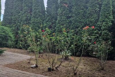 Casă cu 3 camere cu Teren 800 Mp în Sâncraiu de Mureș - 2