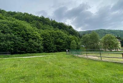 Plaiul Foii, 2.750 mp teren intravilan in zona pitoreasca. - 8