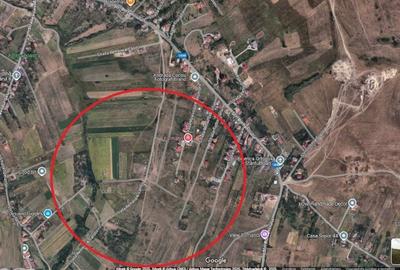 Teren agricol intravilan de 1450 mp, în Borhanci
