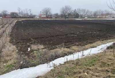 Spațiu comercial, în Munteni - 1