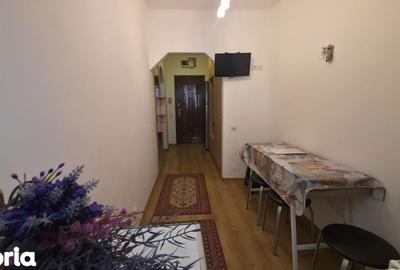 Garsonieră în Nufărul - 5