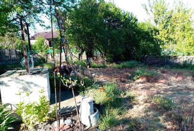 Casă cu 4 camere în Horia - 4
