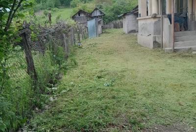 Casă cu 3 camere în Berlești - 3