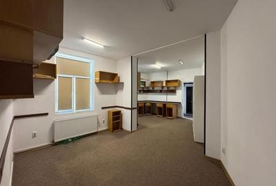 Inchiriere imobil D+P+1+M | 450 mp | Cismigiu - Cazzavillan | - 20