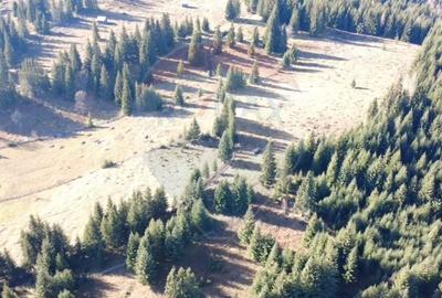 Teren agricol extravilan de 16289 mp, în Coverca - 2