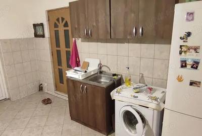 Casă cu 6 camere cu Teren 3000 Mp în Balinț - 9