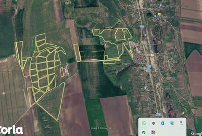 Teren de 700000 mp, în Berești-Meria - 1