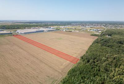 Teren Vanzare Intravilan Branesti investitie Zona Industrial - 6