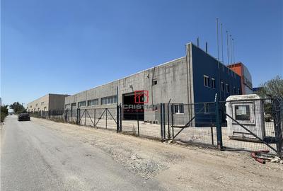 Depozit/hala/spatiu industrial Domnesti - Clinceni - Bragad - 6