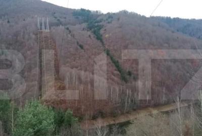 Teren de 140000 mp, în Central