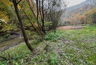 Spațiu comercial, în Central