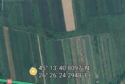 Teren extravilan 4000mp Viperesti - 3