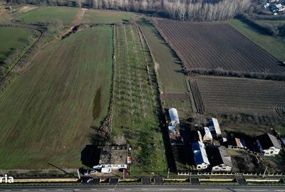 Teren de 9654 mp, în Dobra - 7