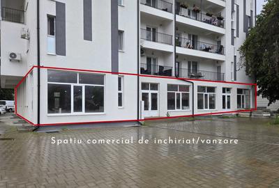 Spațiu comercial, de 385 mp, în Exterior Vest - 2