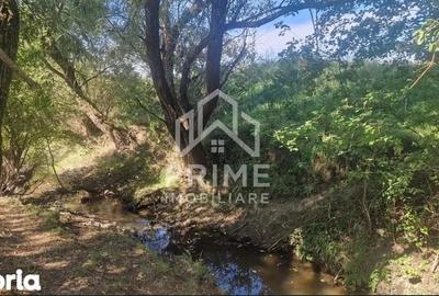 Casă cu 3 camere cu Teren 2200 Mp în Ohaba - 6