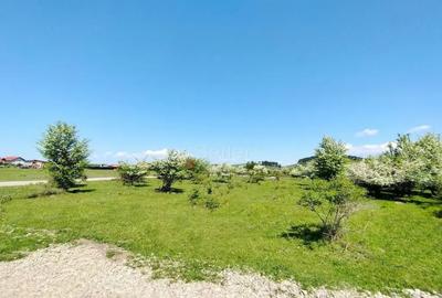 Teren de 1333 mp, în Sânpetru - 4