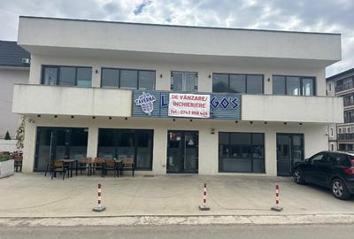 Spațiu comercial, de 220 mp, în Valea Lupului - 1