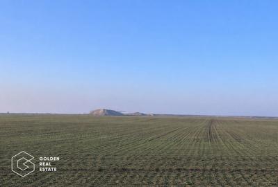 Teren agricol 32.000 mp, deschidere sosea Arad–Siria - 1