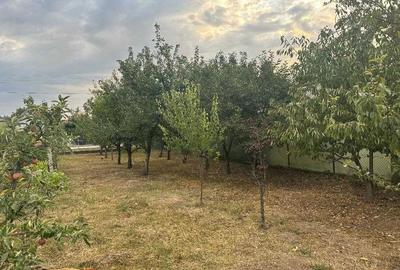 Teren de 3600 mp, în Sasca Mică - 6