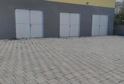 Hala construc?ie noua pe 2 niveluri - 11