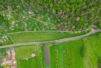 Teren Construcții intravilan de 6500 mp, în Păpăuți - 5