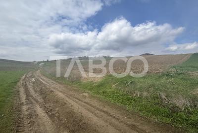 Teren intravilan de vanzare 4600mp deschidere 37m in Sura Mare Sibiu - 3