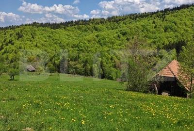 Teren intravilan 3400 mp, in Balaban - Simon, Bran - Brasov - 7