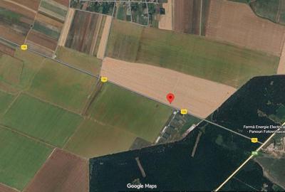 Teren de 2975 mp, în Vârvor - 8
