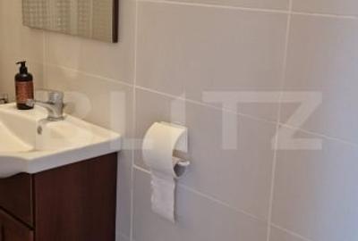 Locuința individuala cu curte generoasa- In Chitila - 15