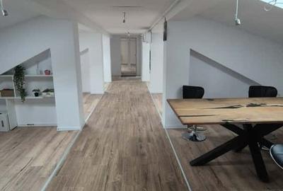 Birou, de 150 mp, în 13 Decembrie - 10