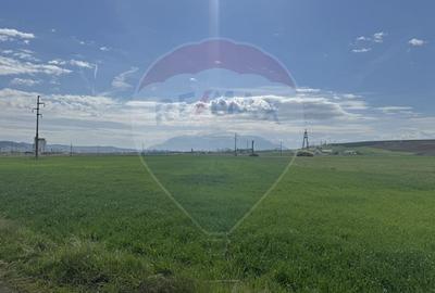 Teren Construcții extravilan de 8600 mp, în Luna de Jos - 14