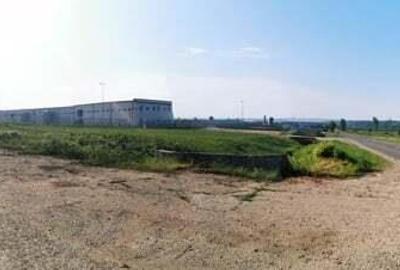 Teren intravilan 5 hectare comasat Bocsa 6 euro mp negociabil - 8