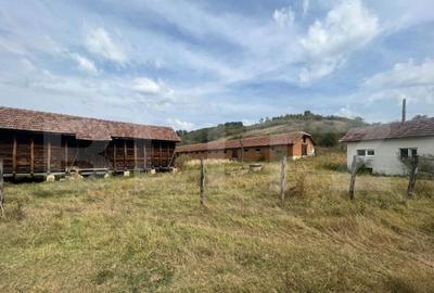 Ferma cu 3000 mp de teren si o constructie de 580 mp - 2