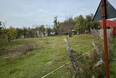 Teren Construcții intravilan de 2644 mp, în Viișoara - 3